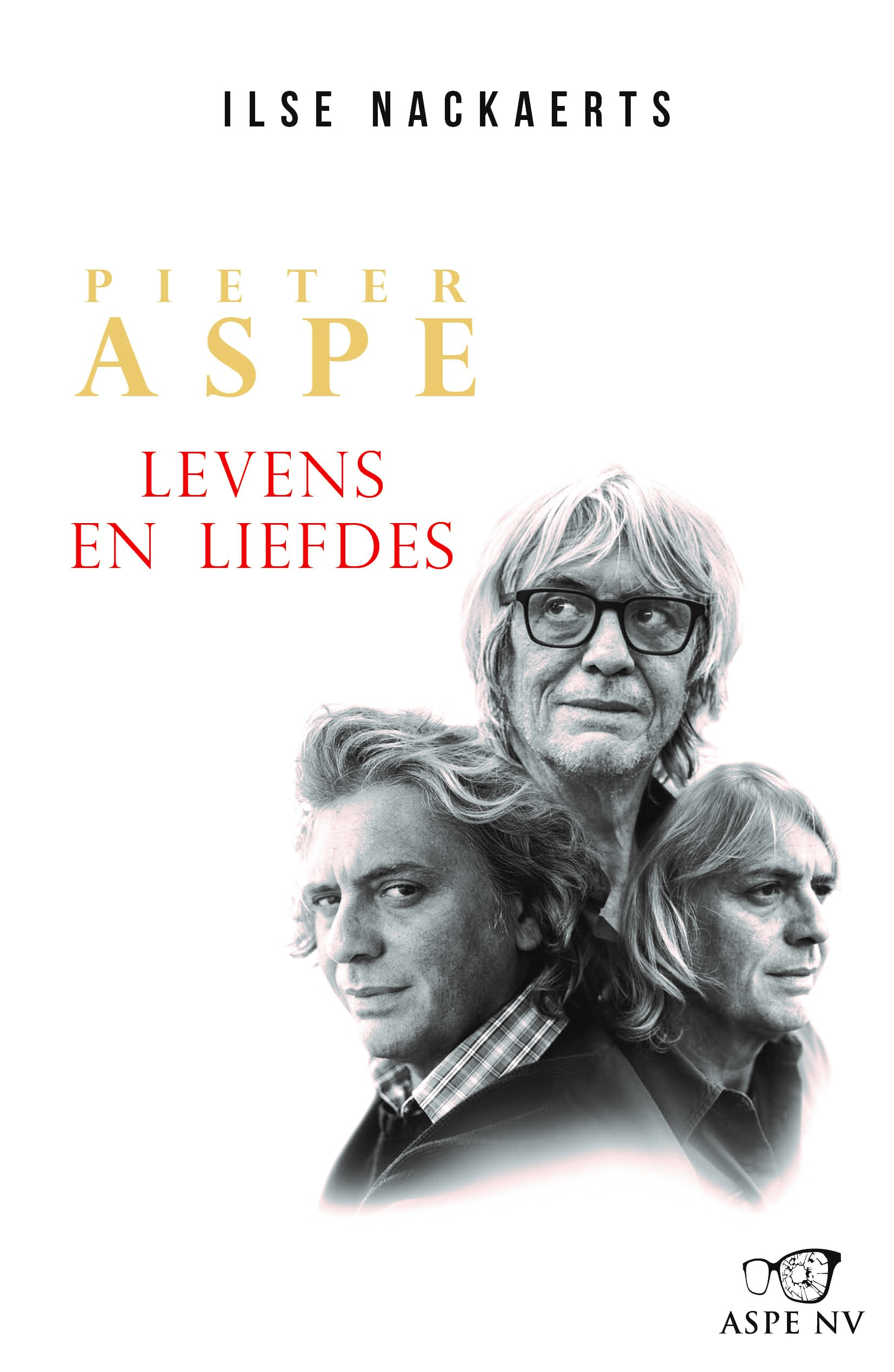 Pieter Aspe: Levens en LiefdesPaperback / softback