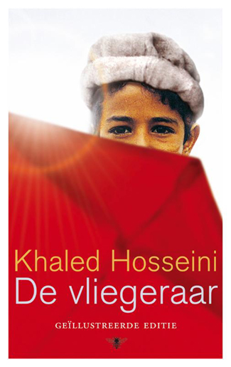 De vliegeraarEbook