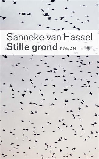 Stille grondPaperback / softback