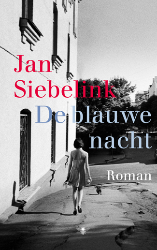 De blauwe nachtHardback