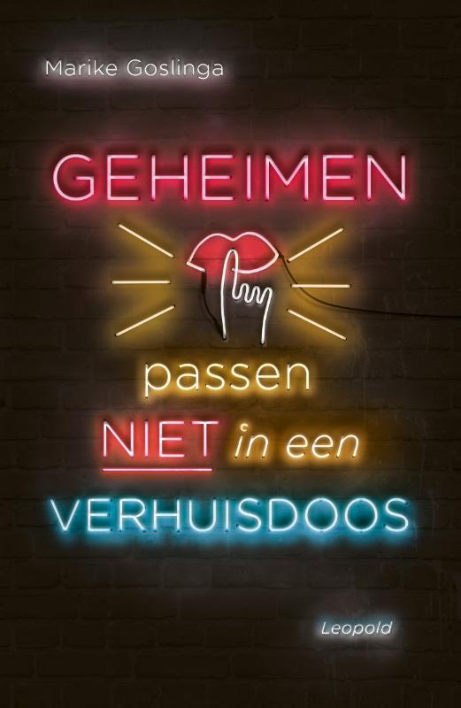 Geheimen passen niet in een verhuisdoosHardback