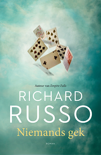 Niemands gekPaperback / softback