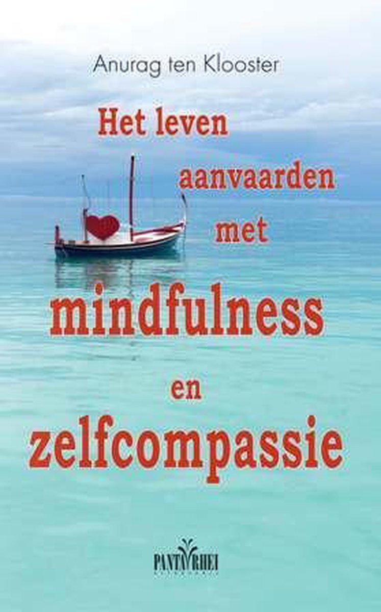 Het leven aanvaarden met mindfulness en zelfcompassiePaperback / softback