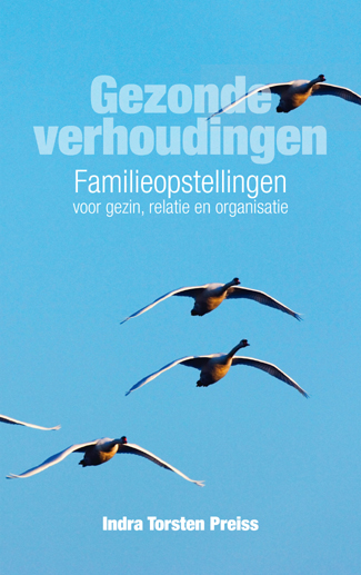 Gezonde verhoudingenPaperback / softback