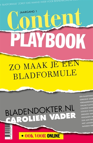 Content PlaybookPaperback / softback