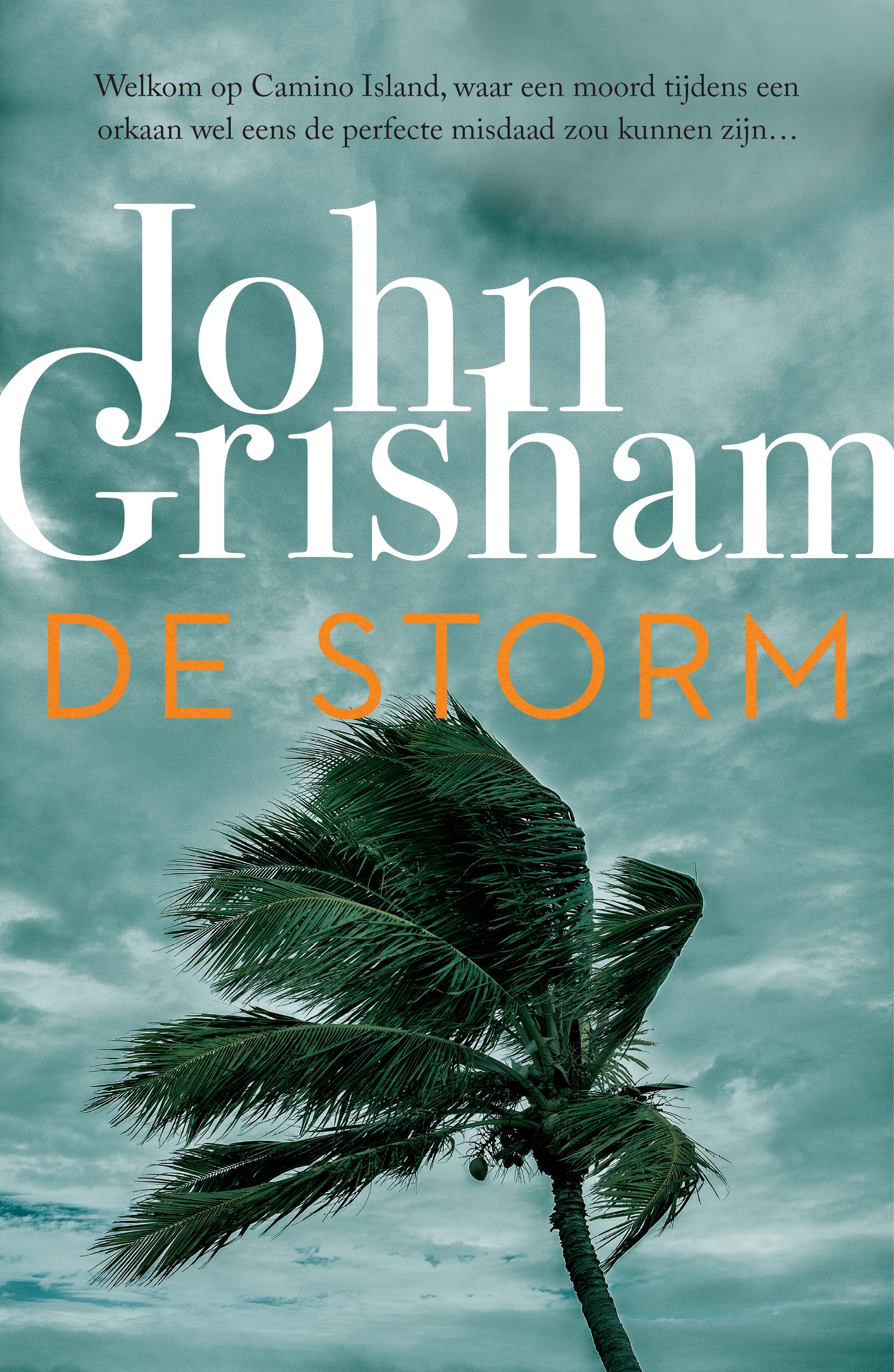 De stormPaperback / softback