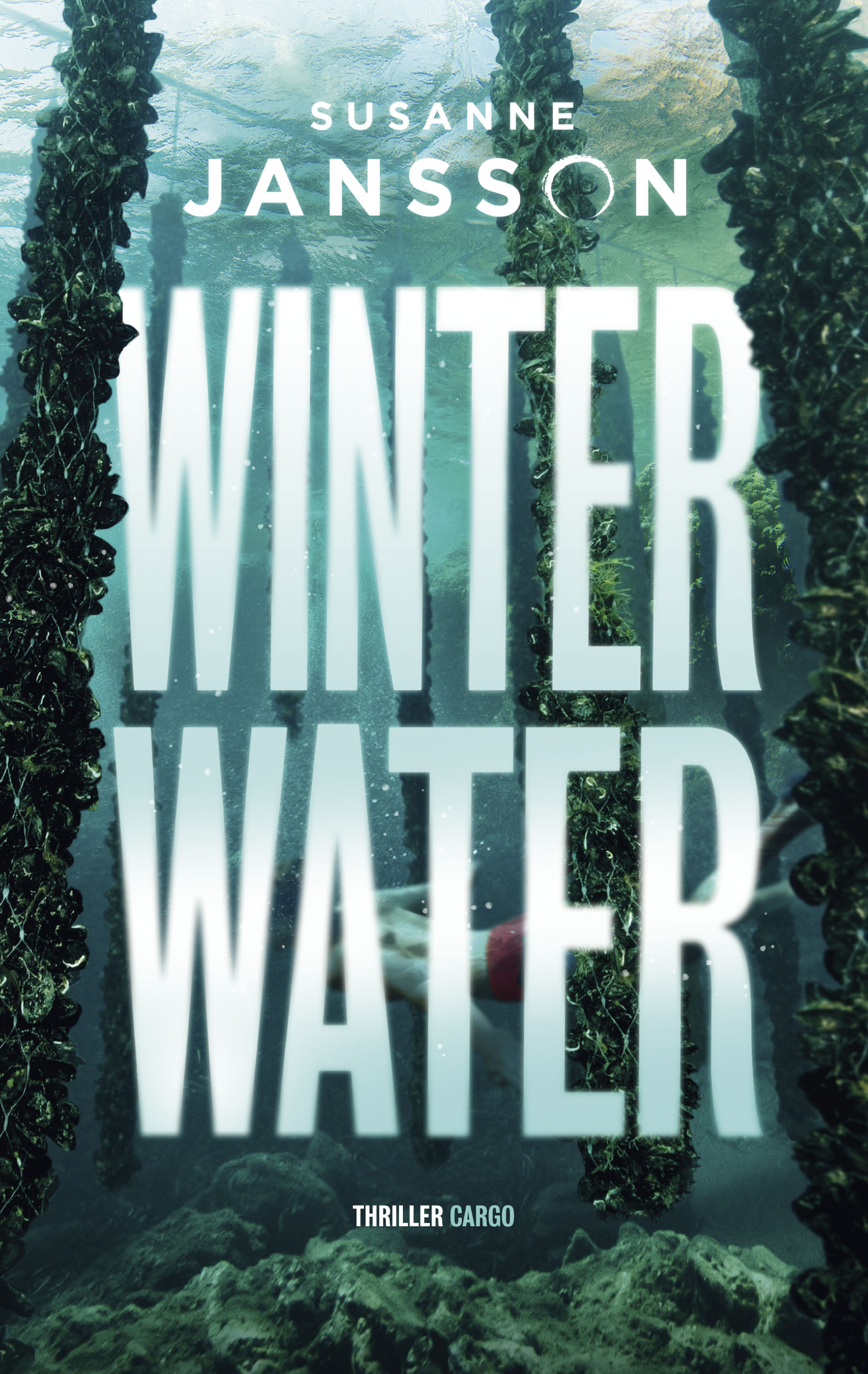 WinterwaterPaperback / softback