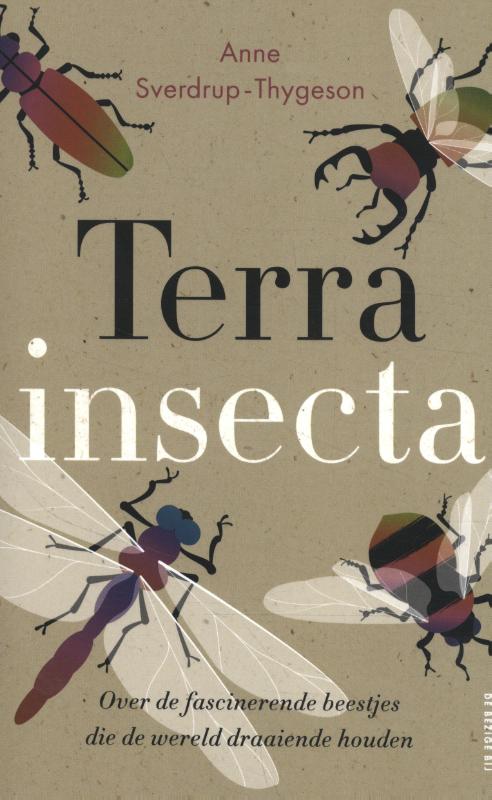 Terra insectaPaperback / softback