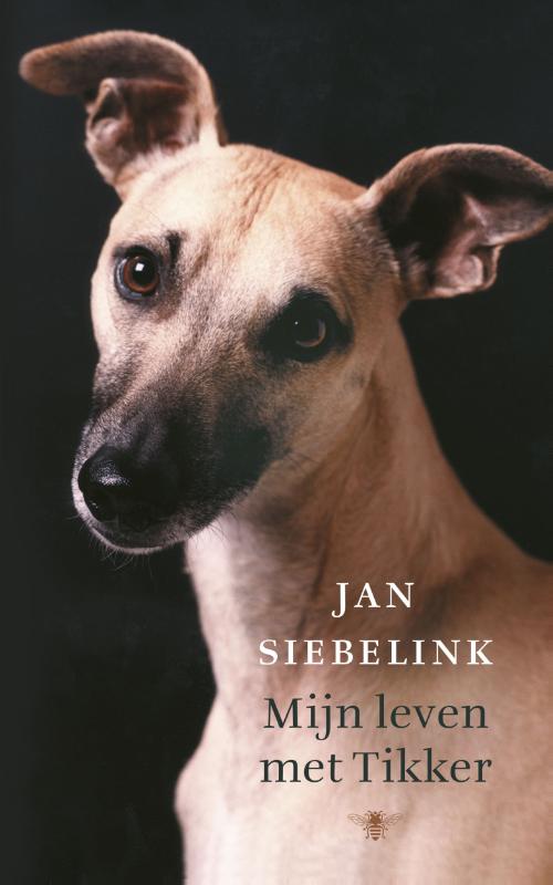Mijn leven met tikkerPaperback / softback
