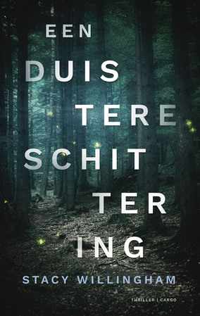 Een duistere schitteringPaperback / softback