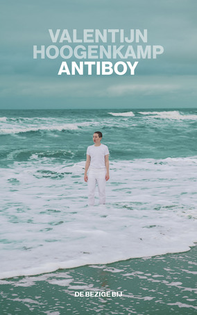 AntiboyPaperback / softback