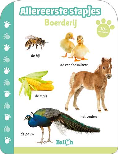 Boerderij 18m+Board book